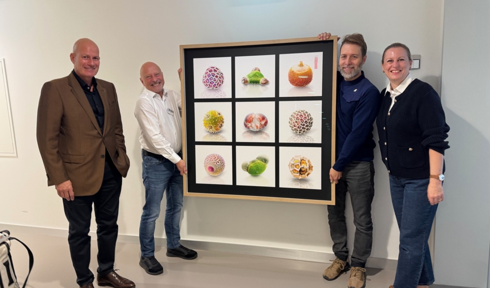 Stiftung für krebskranke Kinder 1