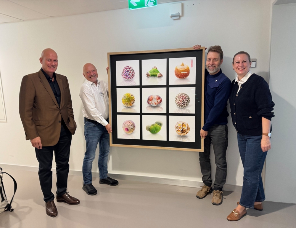 Stiftung für krebskranke Kinder 1