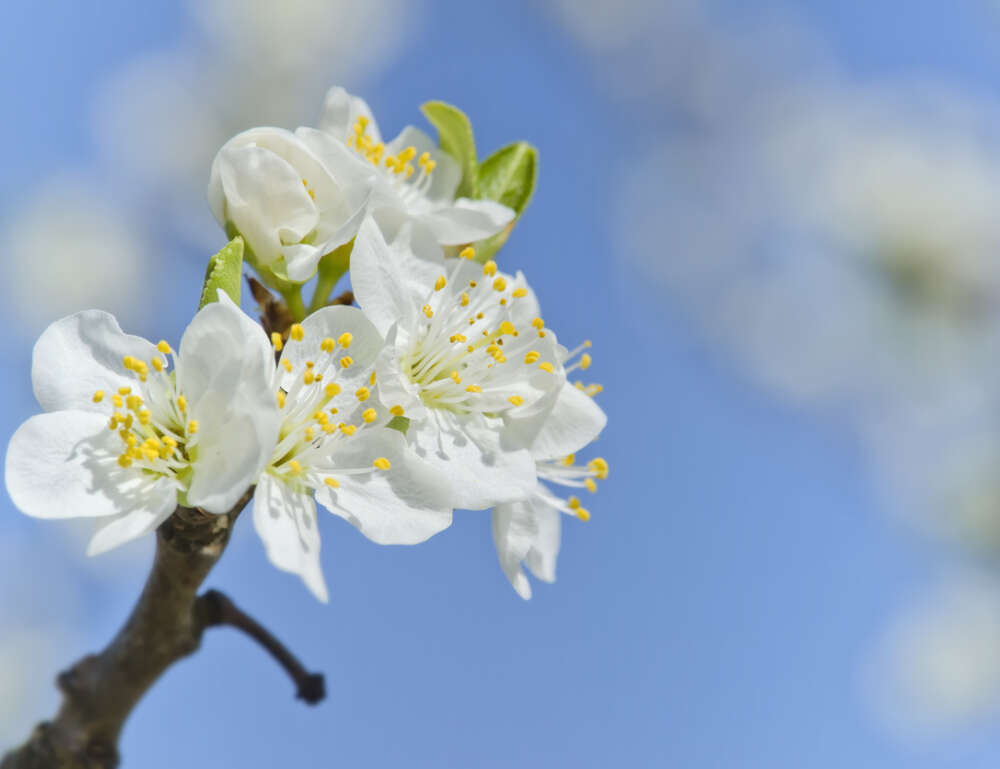 Fruehjahrsmuedigkeit