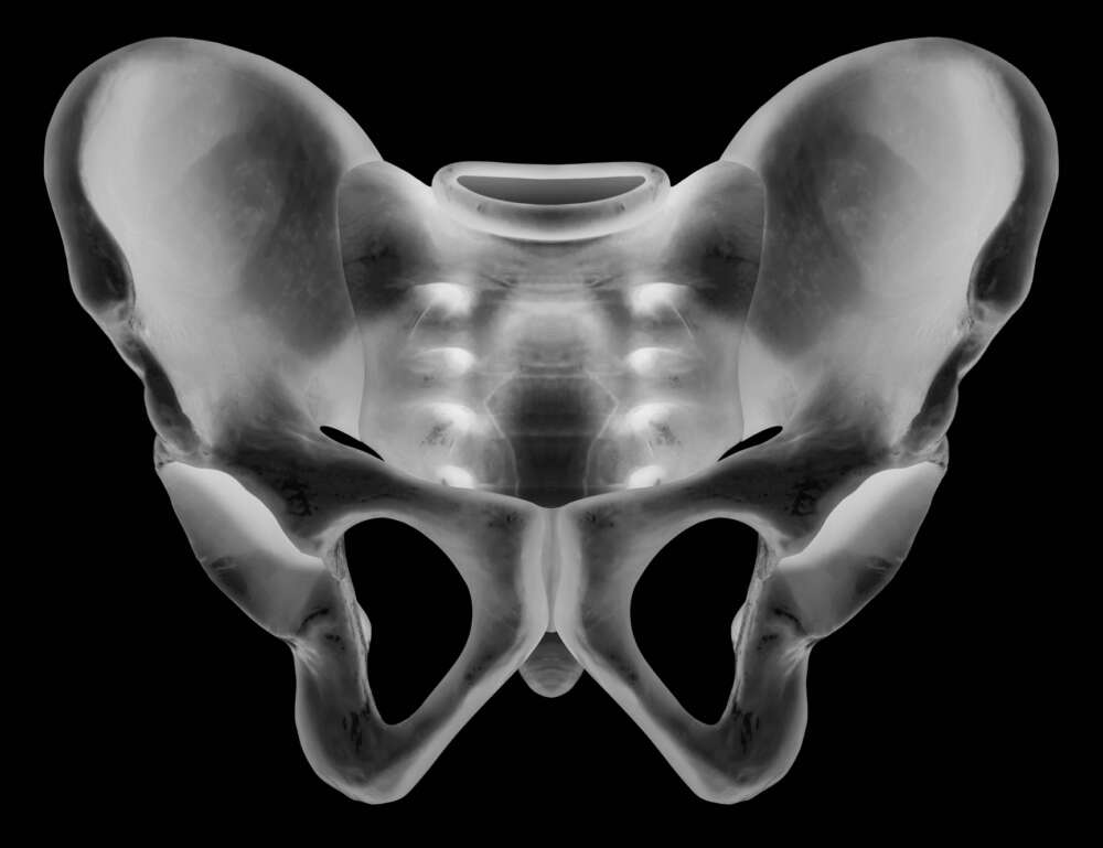 Istockphoto 914140918 1024x1024