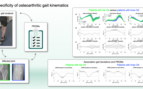 Gangbild hueft knie tep
