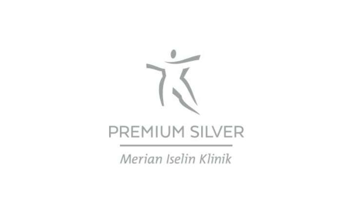 Premium Silver Logo