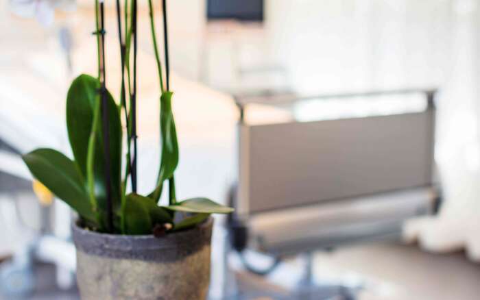 Services International Patients 2