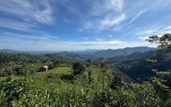 Bwindi 1