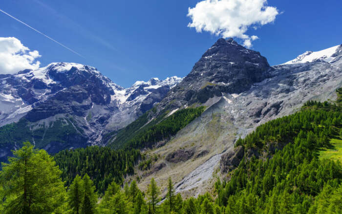 Istockphoto 484696676 1024x1024