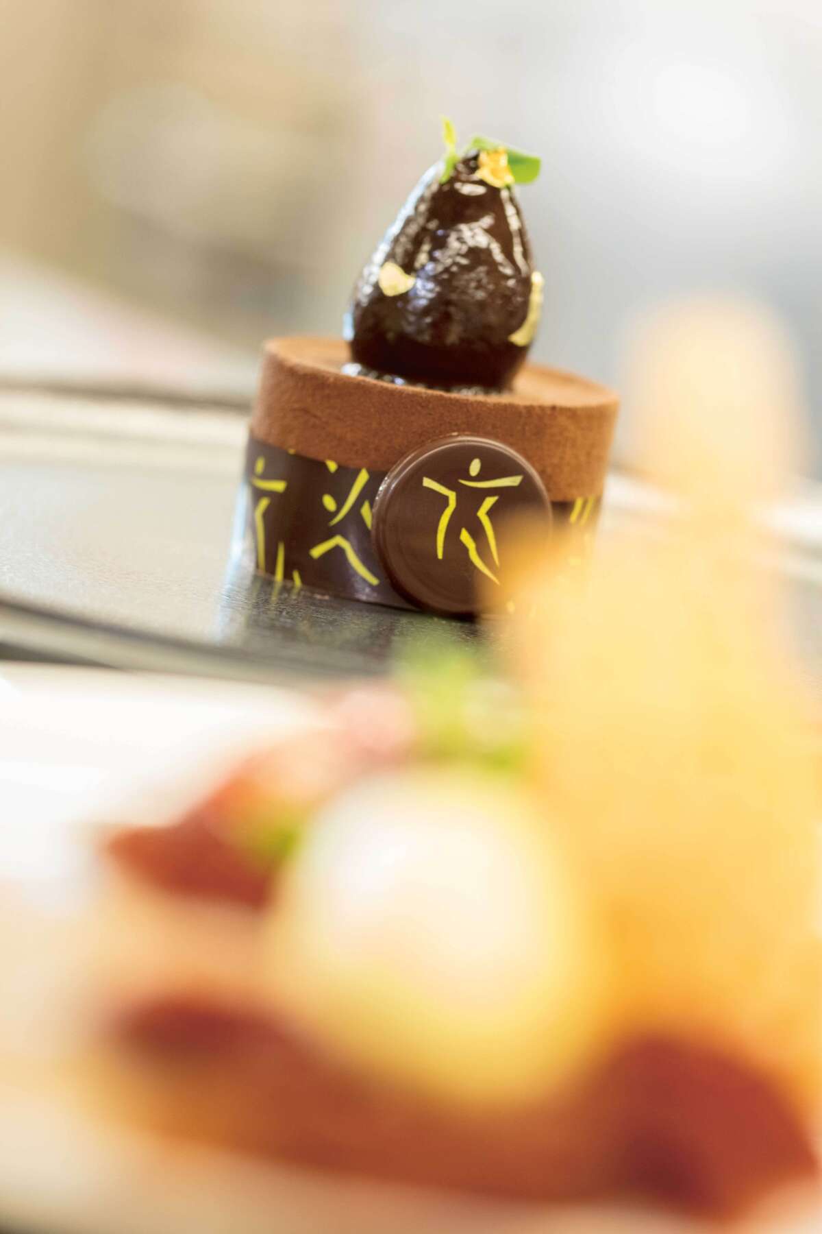 Premium Gold Food 3