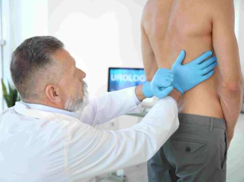 Urologie Betroffene Organe