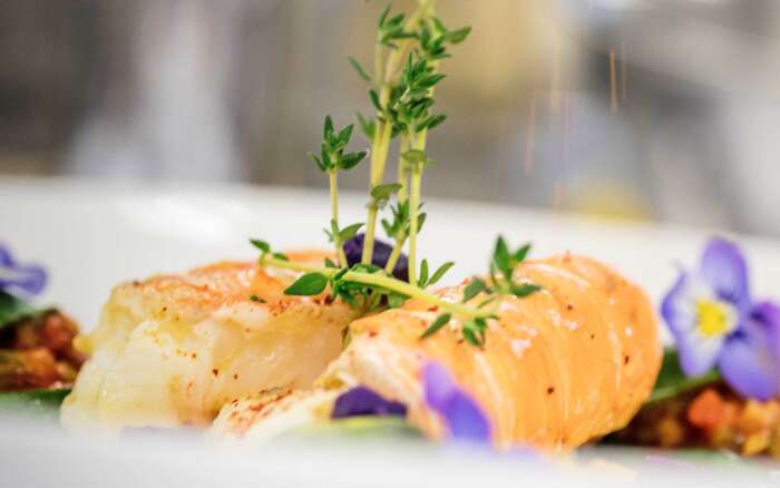 Premium Gold Food 2